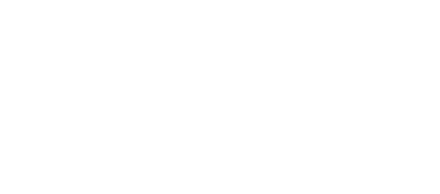 Simple Fitness Logo